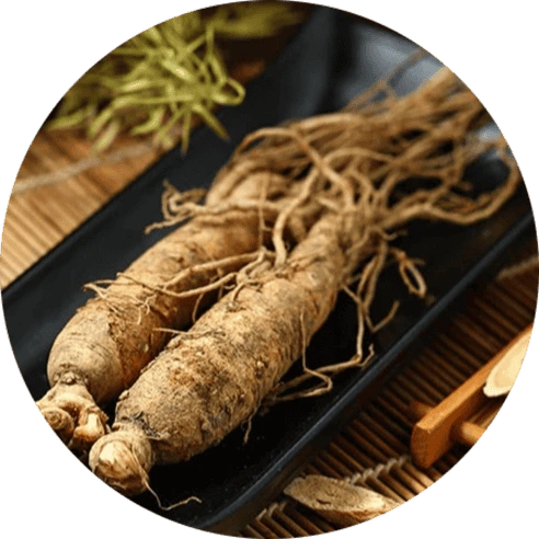Panax Ginseng Extract for Mental Energy Support